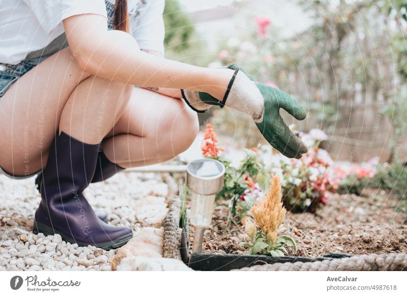 Nahaufnahme einer Hand, die Arbeitshandschuhe anzieht. Vorbereitung auf die Arbeit mit Blumen im Garten Gartenarbeit Hobby Bepflanzung Frau Wachstum Gärtner