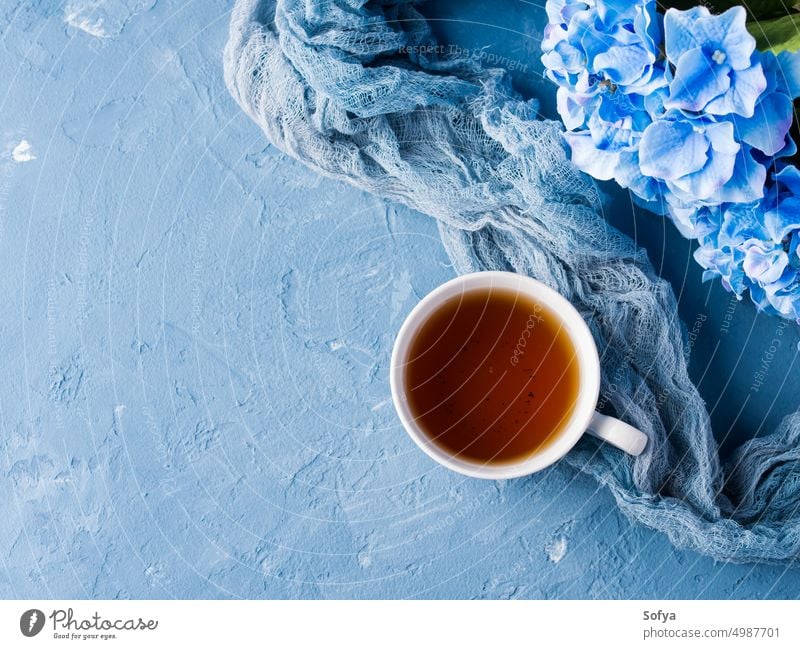 Tasse Tee auf blauem Hintergrund mit Blumen trinken heiß Winter Herbst fallen Pause Textfreiraum Textur Beton Becher gemütlich Hortensie genießen sehr wenige