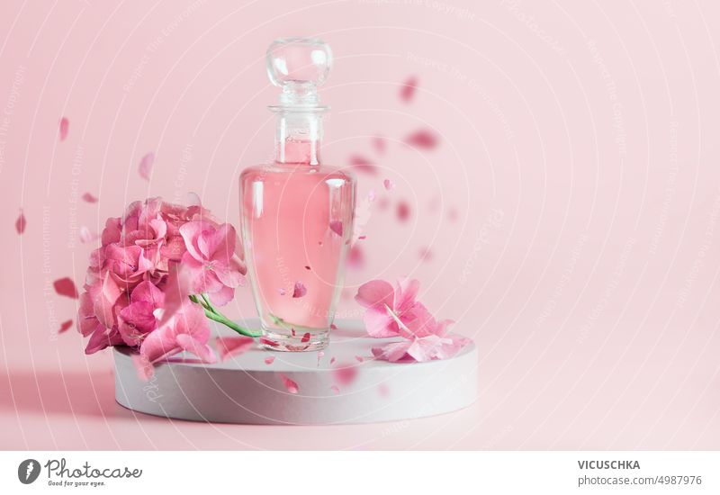 Ästhetisches Kosmetikprodukt in Glasflasche mit rosa Flüssigkeit mit Hortensienblüten und fallenden Blütenblättern auf Podest. Vorderansicht. Ästhetik Produkt