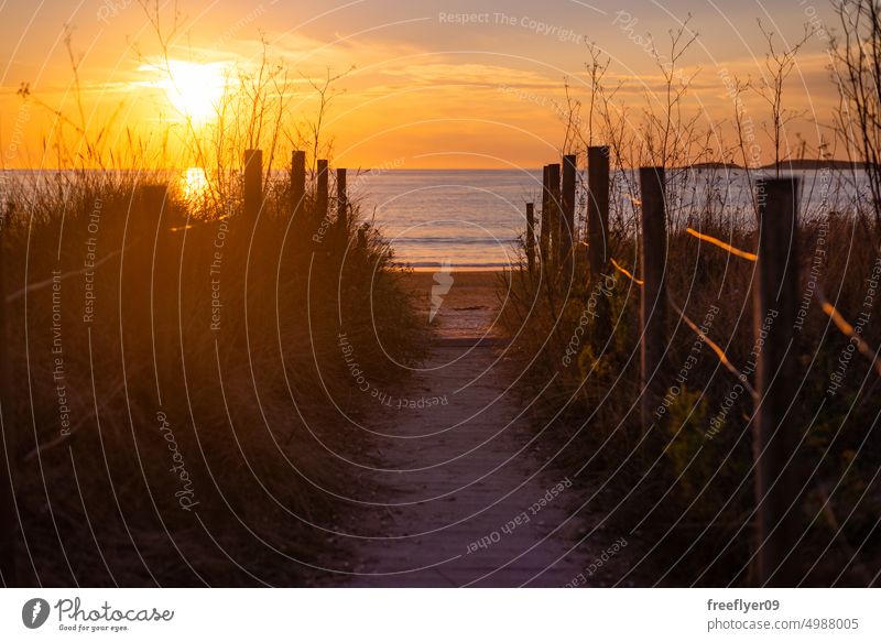 Weg zum Strand durch die bewachsenen Dünen Zugang Sonnenuntergang Galicia Textfreiraum MEER atlantisch Zaun Holz Urlaub sich[Akk] entspannen Erholung Spanien