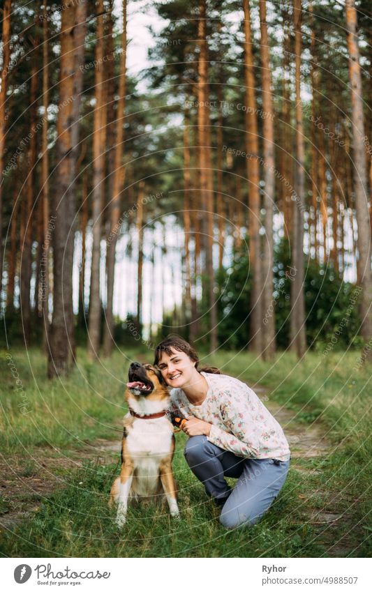 Junge erwachsene kaukasische Frau posiert und lächelt mit Haustier Hund im Sommer grünen Wald. Aktiver gesunder Lebensstil in der Natur aktiv Tier authentisch
