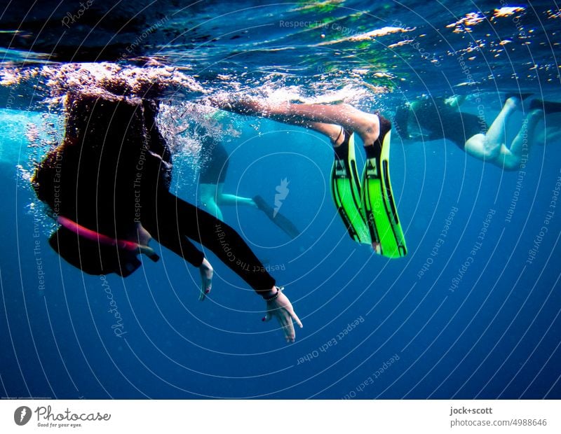 abtauchen in die blaue Welt Schwimmen & Baden Pazifik Unterwasseraufnahme Leichtigkeit Wasseroberfläche Schnorcheln Schnorchler Wassersport Meer Erfahrung