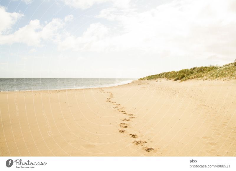 Fußspuren im Sand am Strand von Texel in der Nordsee Meer Spuren Einsamkeit Natur Urlaub unberührt Dünen Urlaubsstimmung Sommer Sommerurlaub Niederlande holland