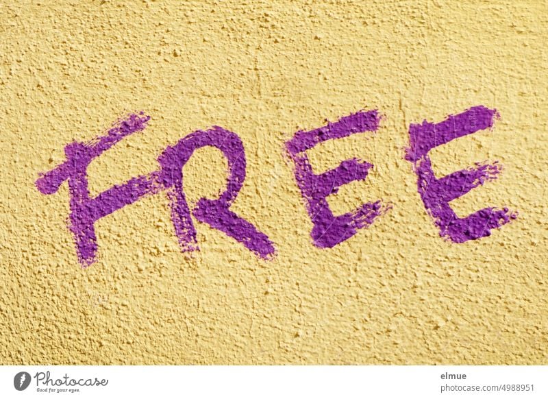 FREE steht in lila Druckschift an einer beigefarbenen Hauswand free frei frei sein Graffiti Schmiererei Typographie Sachbeschädigung Jugendkultur Blog Subkultur
