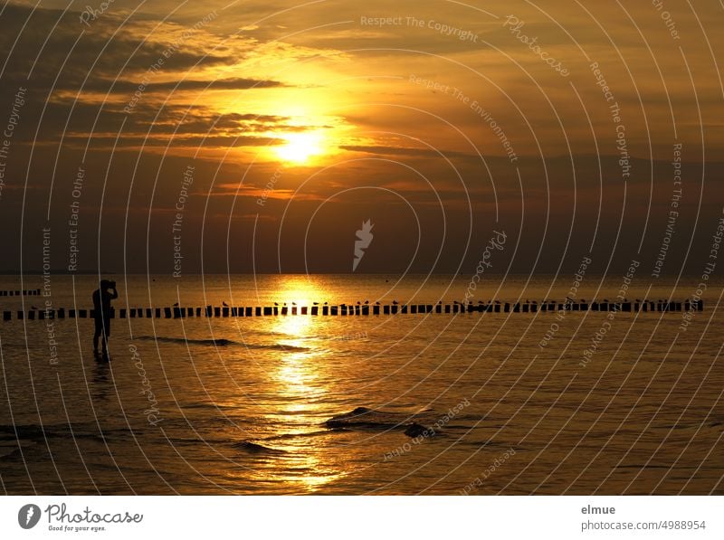 Sonnenuntergang am Meer - Wasser, Holzbuhnen, Möwen und die Silhouette eines Mannes, der die Szenerie mit seinem Smartphone festhält Ostsee Buhne Abendstimmung