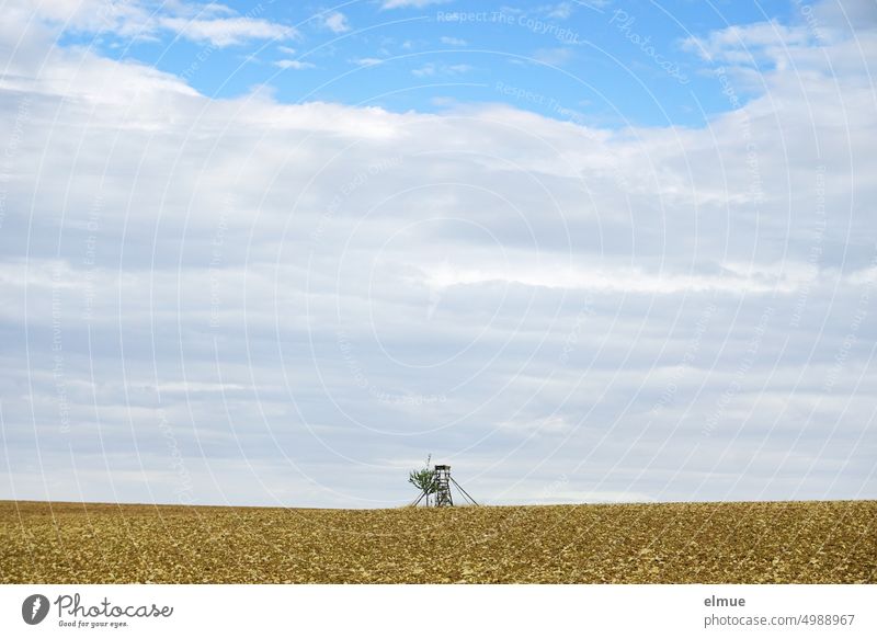 Hochsitz aus Holz mit einem kleinen Laubbaum inmitten eines abgeernteten Feldes vor teils bedecktem Himmel / Jagdwesen Jagdkanzel Bockgerüst Hochstand
