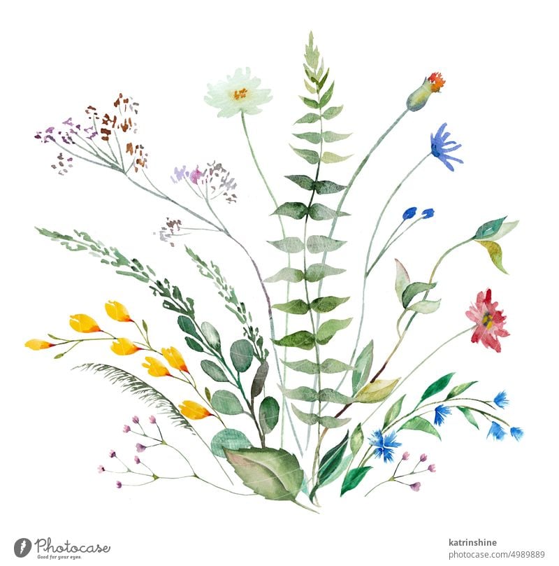 Bouquet von Aquarell wilde Blumen und Blätter, Sommer Hochzeit und Gruß Illustration isoliert Geburtstag botanisch farbenfroh Dekoration & Verzierung Zeichnung