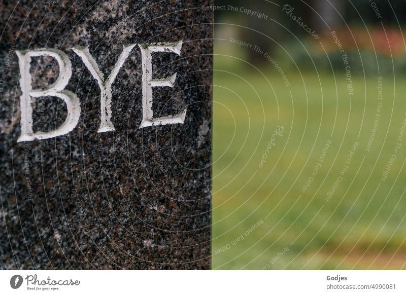 [HH Unnamed Road] Grabstein mit dem Abschiedsgruß "Bye". Gruß Auf Wiedersehen Trauer Pflanze Vergänglichkeit Tod Hoffnung Friedhof Beerdigung Natur Traurigkeit