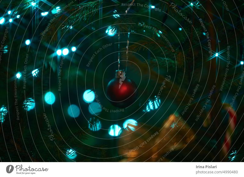 Nahaufnahme von Urlaub elektrisch blauen Girlanden auf Tannenzweig mit Weihnachtsbaum Dekoration und Süßigkeiten süß. Zuckerstange hängen auf den Zweig eines Weihnachtsbaums
