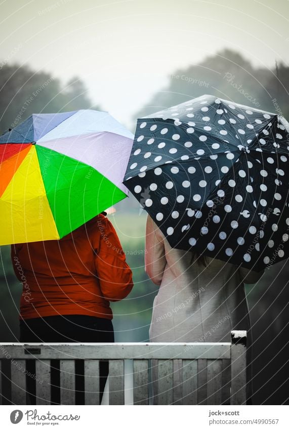 [HH Unnamed Road] mit modischen Regenschirmen vor Regen geschützt Frau Rückansicht Erwachsene regnerisch Punkte kühl feucht schlechtes Wetter Lifestyle