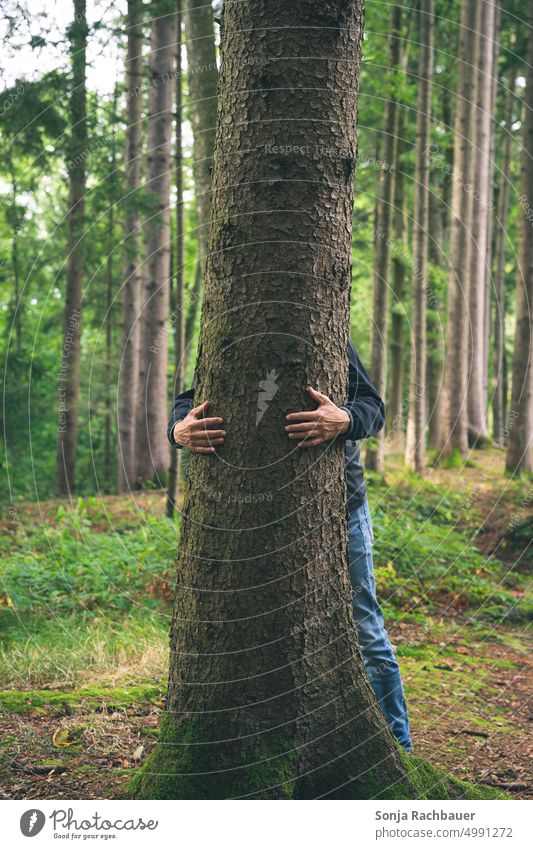 Ein Mann umarmt einen Baum im Wald Natur Umarmen Holz verschwommener Hintergrund Liebe Umwelt Umweltschutz Hände grün Außenaufnahme Fürsorge Klima