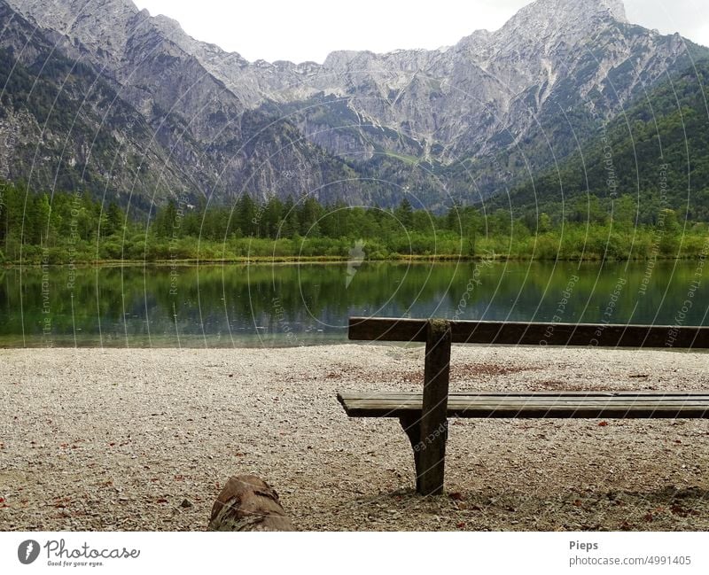 Am Almsee Almtal Österreich Gebirge Seeufer wandern Bank Pause Ruhe Natur Erholung Spiegelung innehalten Entspannung Landschaft Sehnsucht Panorama Weite Bäume
