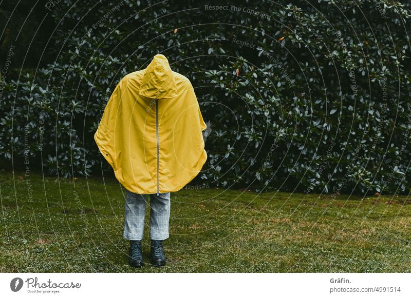 [HH - Unnamed Road] Gelb gegen den Regen - Person in gelbem Regenponcho steht auf einer Wiese Natur Herbst Farbfoto Außenaufnahme Pflanze Tropfen feminin Park