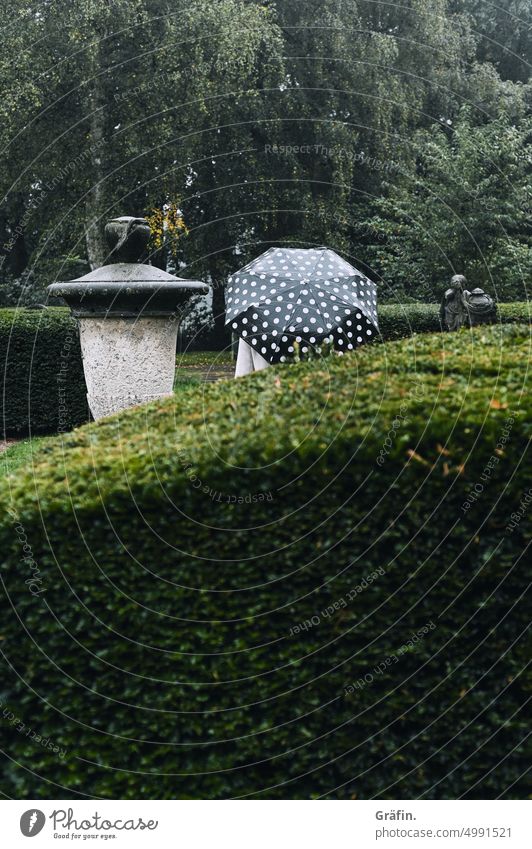 [HH Unnamed Road] Regenpunkte im Dauerregen - Person mit gepunktetem Regenschirm steht hinter einer Hecke Herbst trüb trist Trübsal Friedhof Natur grün schwarz