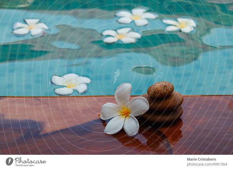 Aufgestapelte flache Steine neben einem mit Frangipani-Blüten gefüllten Becken Lifestyle Heilung Gleichgewicht Harmonie Wellness Konzept keine Menschen Spa