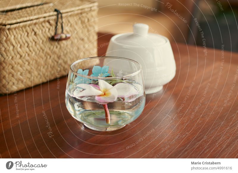Eine Frangipani-Blüte in einem Glas Wasser als Tischdekoration für einen entspannenden Lebensraum, Wellness und Wohlbefinden Entzug Kernstück keine Menschen