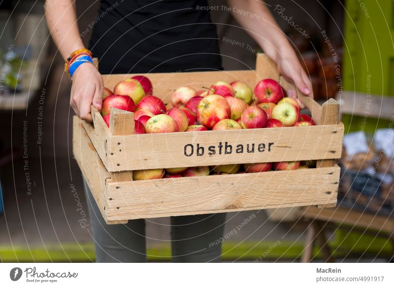 Ostkisten äpfel eine person ein mensch box ernten essen leese garten gärten holzkiste obst obstgärten reif süss tragen obstbauer Bioprodukte biologisch