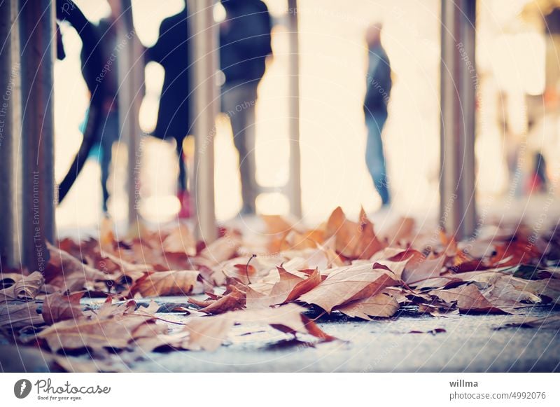 Stadtherbst Herbst herbstlich urban Laub Menschen Blätter Herbstlaub