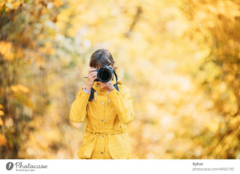 Aurlandsfjellet, Norwegen. Junge Frau Tourist Fotograf Fotograf Fotografieren Fotos von Herbst Gelb Wald Park. Lady Walking In Herbst Park mit gelbem Laub aktiv