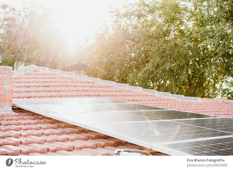 Sonnenkollektoren auf dem Dach bei Sonnenaufgang Erneuerbare Energien und grünes Energiekonzept. niemand Haus Wassertropfen tagsüber Landschaft Pflanze