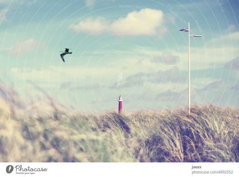 2 x Leuchtturm, Dünengras, Möwe und Himmel Küste Idylle Farbfoto ruhig Schönes Wetter Landschaft Natur Wolken Menschenleer Tag Den Haag Licht