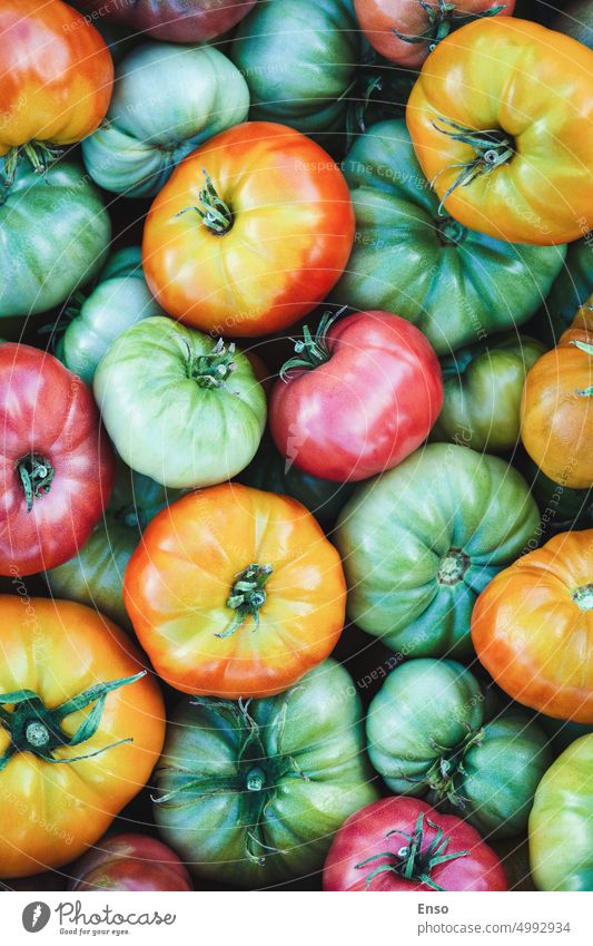 Grün gelb rot Tomaten Lebensmittel Hintergrund, geerntet Tomaten Textur grüne gelbe rote Tomaten Farben orange organisch Gemüse frisch Gesundheit Vegetarier