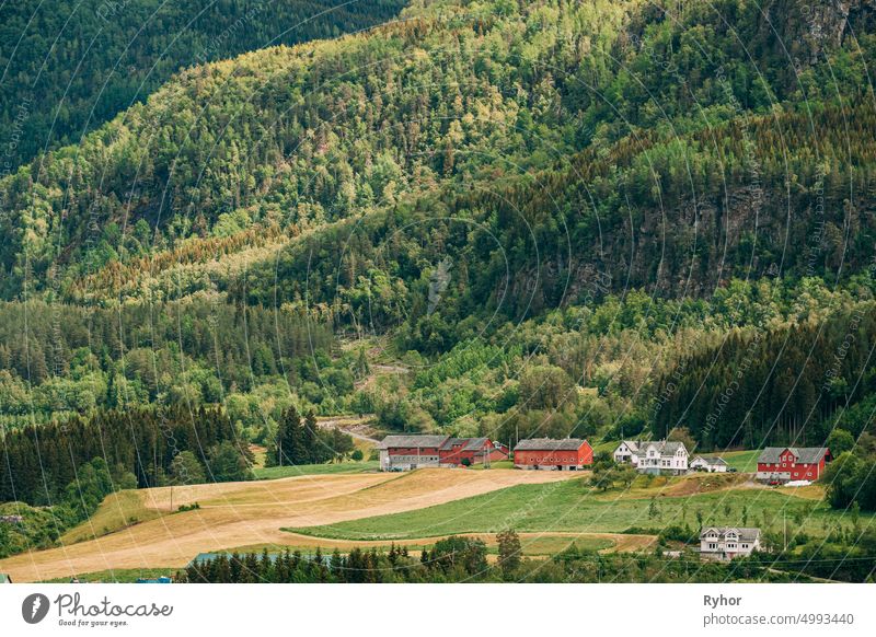 Voss, Norwegen. Sommerliche Landschaft mit Feldern und roten Bauernhäusern. Traditionelle norwegische Hillside Dorf mit alten Holzhäusern Region Hardanger