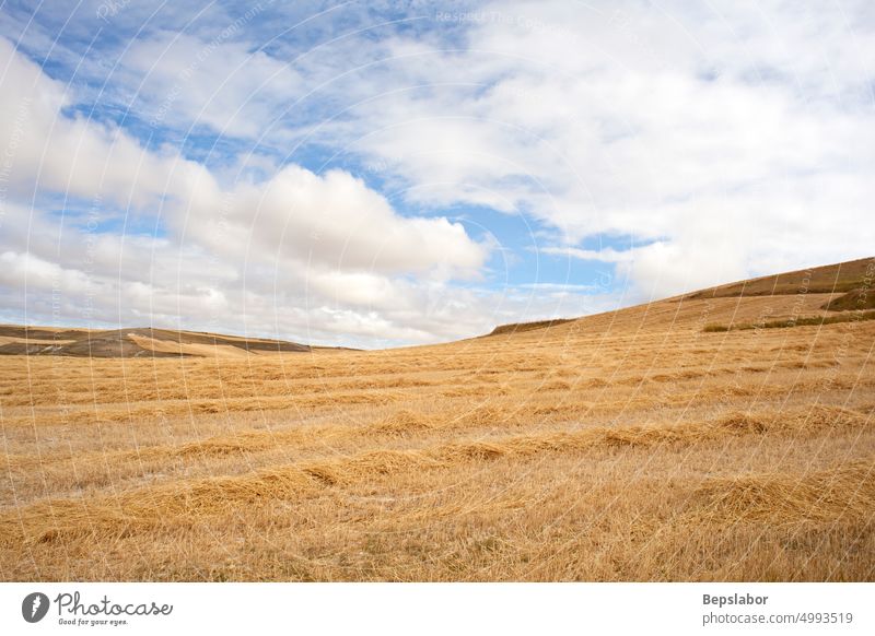 Heuballen in der spanischen Landschaft, genannt Mesetas, während der Sommersaison camino de santiago Spanien Ackerbau wolkig Mais Kornfeld Ernte Landwirtschaft