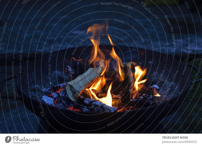 Campfire, kleines Lagerfeuer mit Holzscheit in Feuerschale aus Eisen campfire Abend Eisenschale Dämmerung Flammen Glut Asche kontrolliert Stimmung Garten still