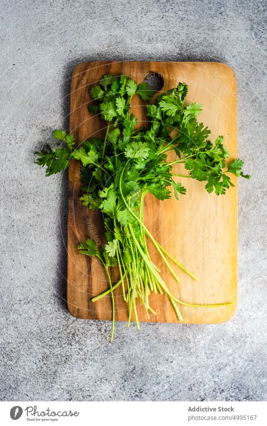 Frisches Korianderkraut Koch Essen zubereiten geschnitten Schneidebrett Speise Lebensmittel frisch grün Gesundheit Kraut Bestandteil Mahlzeit organisch roh