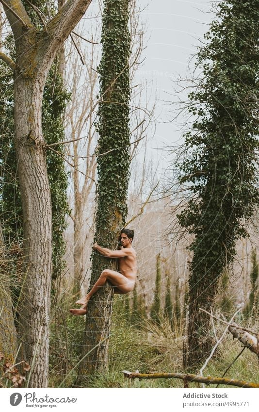Nackter Mann umarmt Baum im Wald Umarmung nackt Natur Kofferraum Umarmen Wälder männlich ruhig Sommer Gelassenheit Harmonie Augen geschlossen friedlich