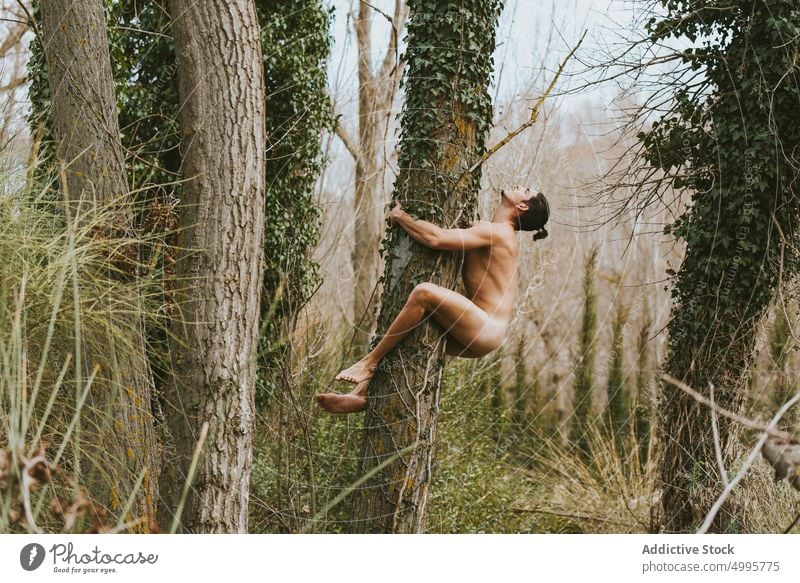 Nackter Mann umarmt Baum im Wald Umarmung nackt Natur Kofferraum Umarmen Wälder männlich ruhig Sommer Gelassenheit Harmonie Augen geschlossen friedlich