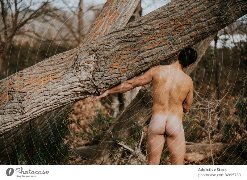 Nackter Mann im Herbstwald stehend nackt Natur genießen Baum Kofferraum Wälder Wald männlich Saison Umwelt fallen Harmonie Waldgebiet idyllisch natürlich