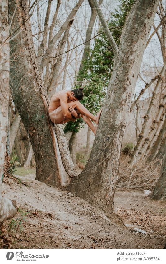 Hemdloser Mann umarmt Knie im Baum im Wald Umarmung Harmonie Kofferraum nackter Torso Wälder ohne Hemd Herbst Natur ruhig männlich passen muskulös genießen