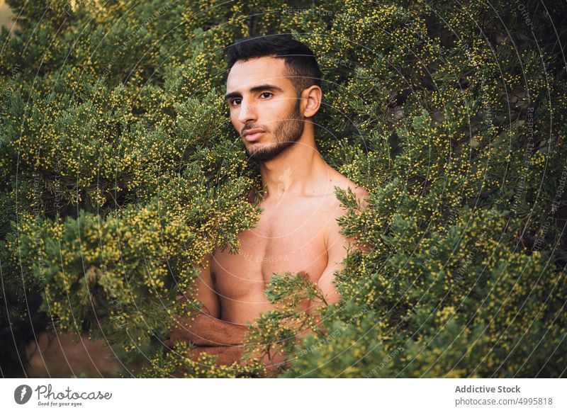 Hemdloser ethnischer Mann, der inmitten von grünen Büschen steht und wegschaut Natur nachdenklich Buchse nackter Torso Porträt Model Windstille verträumt ruhig