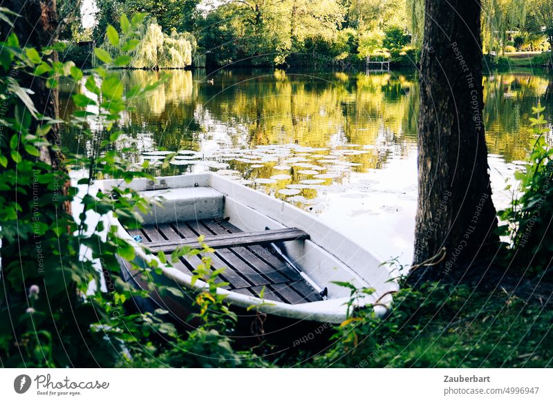 Ruderboot am Ufer eines Teichs, Baum und Seerosen Boot rudern sonnig Wasser wasseroberfläche Erholung Ausflug friedlich ruhig Natur Kanal