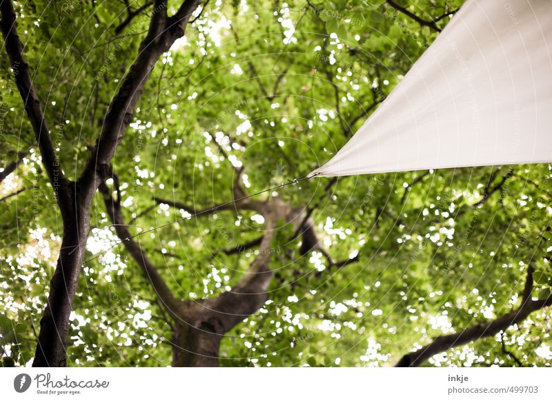 Sonnensegel Umwelt Natur Sommer Schönes Wetter Baum Blatt Baumkrone Blätterdach Garten Park Seil Dreieck festhalten hängen eckig grün weiß Idylle Schutz