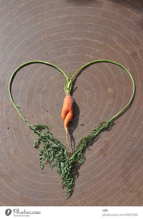 333 | mit Herz & Karotte dabei sein. Gemüse Rohkost Lebensmittel Bioprodukte Ernährung Gesundheit Gesunde Ernährung frisch lecker grün Tag Essen