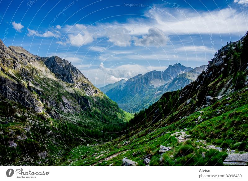2022 06 04 CimaDasta-Tal 6 Italien Berge u. Gebirge Alpen Landschaft Natur reisen Weg wandern Panorama Gipfel alpin Sommer Europa Trekking malerisch Felsen
