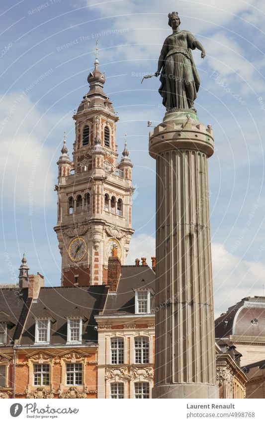 Historische Fassaden auf dem Grand Place in Lille Frankreich Architektur Glockenstube chambre Großstadt Spalte Gewerbe Ausflugsziel Europa berühmt Französisch