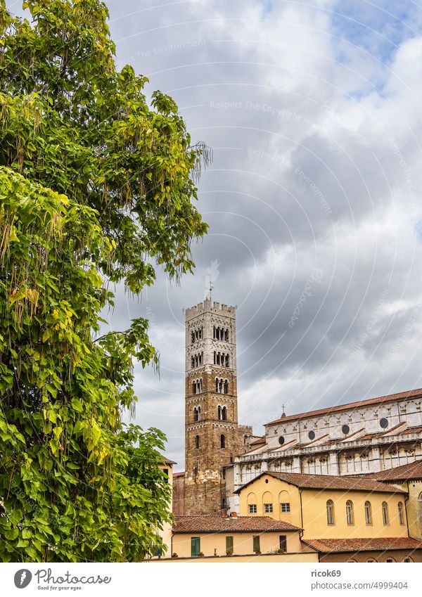 Blick über die Altstadt von Lucca in Italien Toskana Kirche Kathedrale San Martino Stadt Turm Glockenturm Architektur Haus Gebäude historisch alt Bauwerk
