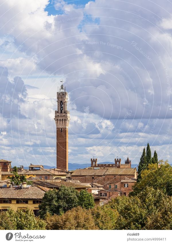 Blick über die Altstadt von Siena in Italien Toskana Rathaus Palazzo Pubblico Stadt Turm Torre del Mangia Architektur Haus Gebäude historisch alt Bauwerk