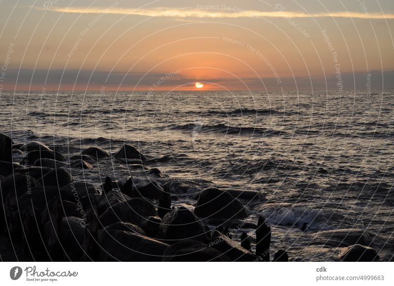 Sonnenuntergang am Meer | gleich ist sie weg. Ostsee Wasser Strand Küste Wellen Ferien & Urlaub & Reisen Sommer Himmel Natur Außenaufnahme Horizont Sommerurlaub