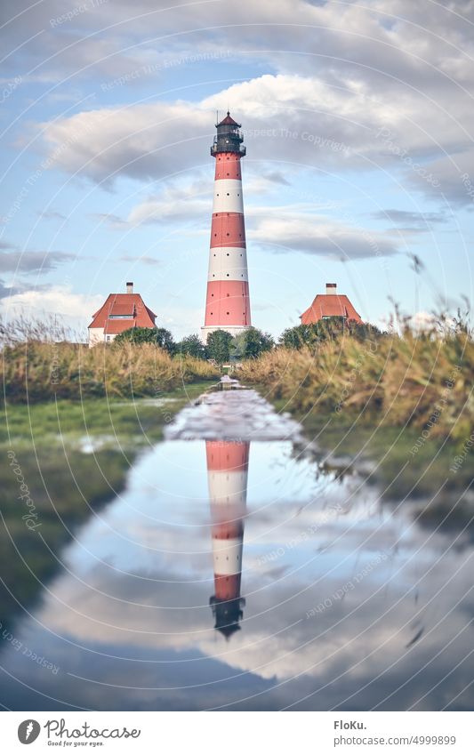 Leuchtturm Westerhever spiegelt sich in einer Pfütze Westerheversand Nordseeküste Nordfriesland Außenaufnahme Farbfoto Menschenleer Meer Tourismus Natur