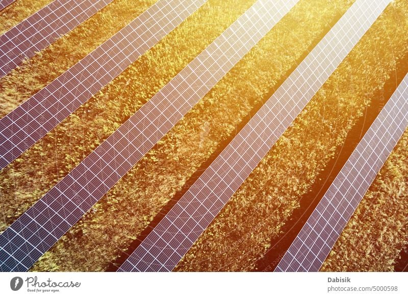 Fotovoltaik-Paneele, Entwicklung alternativer erneuerbarer Energiequellen Sonnenkollektor Sonnenenergie Fotovoltaikplatte Energiekrise regenerativ Solarfarm