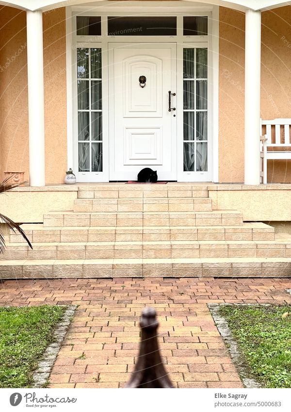schwarze Katze auf der Treppe... Farbfoto Haus 1 Außenaufnahme Wand Gebäude Mauer Tür Architektur Bauwerk