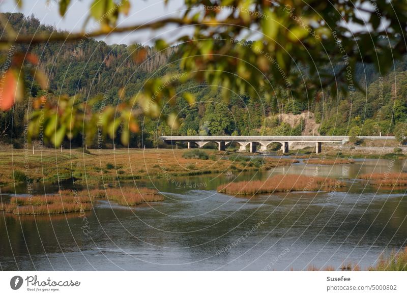 Eine Brücke über einen fast leeren See mit Wald und einem Zweig im Vordergrund Wasser Straße Landschaft Stein Natur Aussicht Blick Berge u. Gebirge