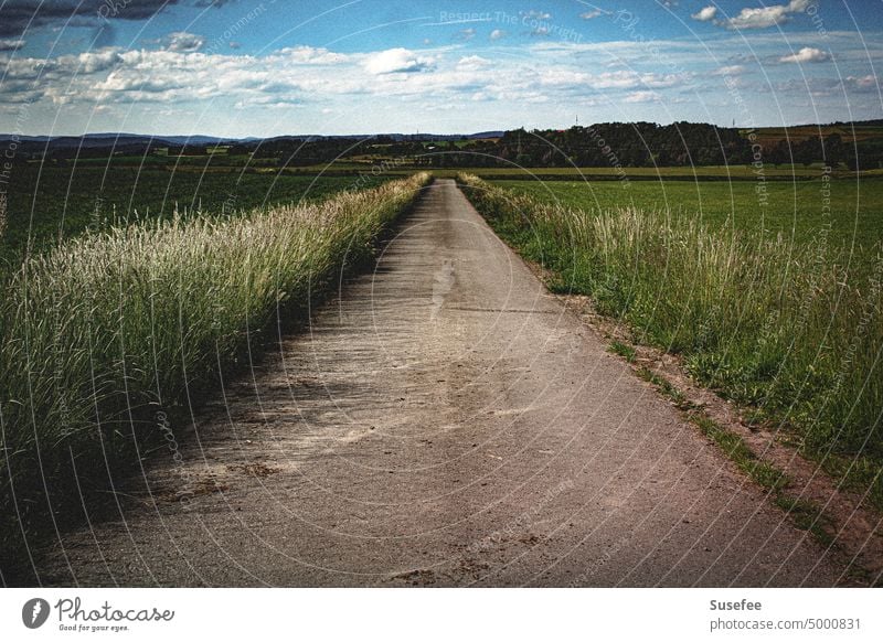 Ein langer gerader Weg mit Gräsern, Himmel und Wald Straße einsam Richtung Natur Landschaft ländlich Feld Horizont