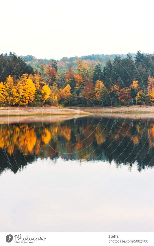 Herbstlandschaft Herbstfärbung Seeufer Ufer Spiegelung Wasserspiegelung Ruhe Idylle ruhig herbstlich Herbstfarben Wasseroberfläche Oktober Oktoberwetter