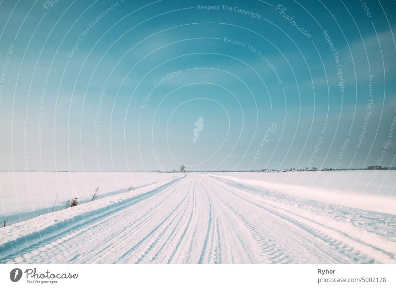 Schneebedeckte Landstraße im Winter an einem sonnigen Tag schön blau kalt Textfreiraum Landschaft Feld Frost gefroren Wiese Natur niemand offene Straße